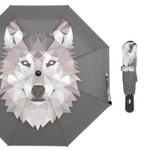 Load image into Gallery viewer, Full Automatic Umbrella