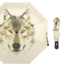 Load image into Gallery viewer, Full Automatic Umbrella
